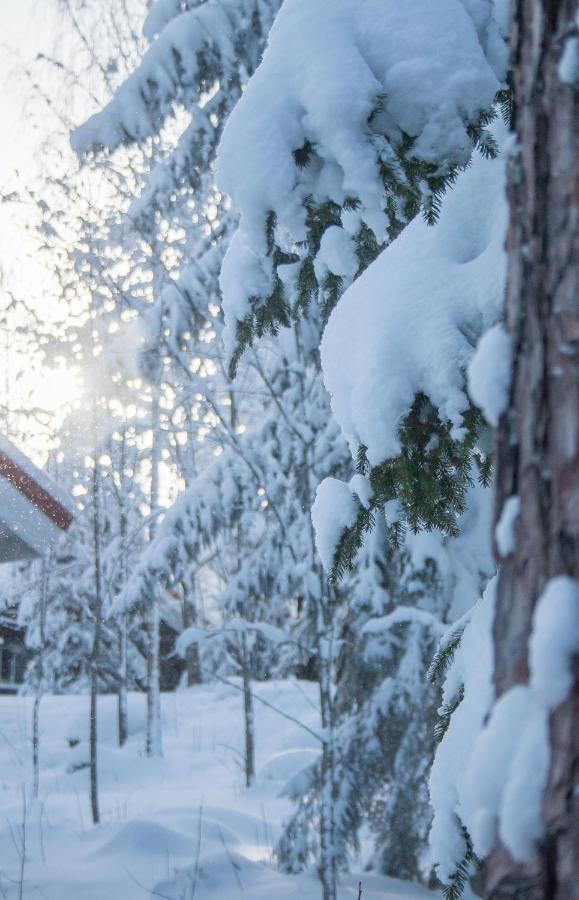Villa Kurpitsa At Messila Ski & Camping Hollola 외부 사진